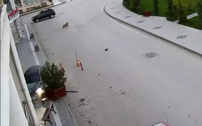 Alkollü Sürücünün Kontrolündeki Araç Kaldırıma Çarptı