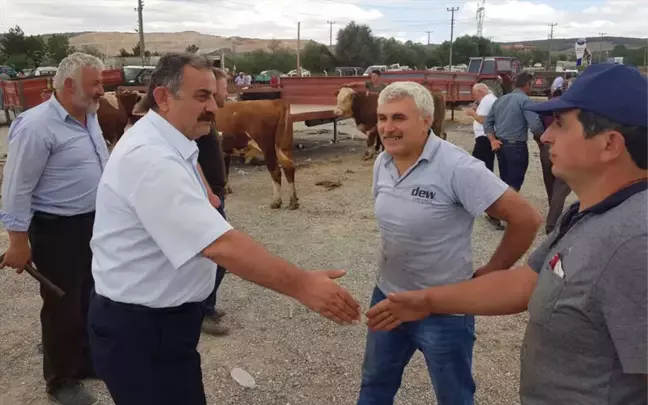 Ladik'ten Kısa Kısa