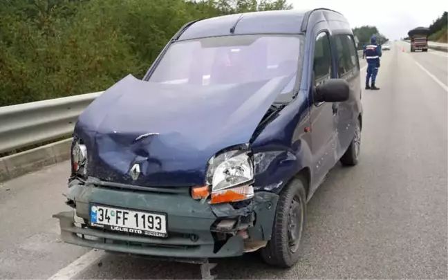 Yola Çıkan Bozayıya Kamyonet Çarptı, Ayı Telef Oldu