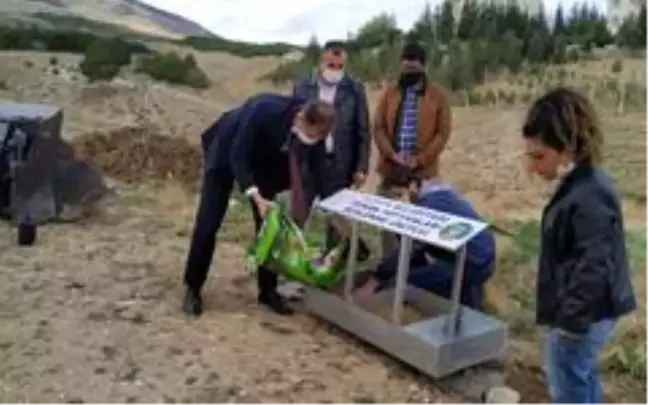 Yunak'ta sokak hayvanlarına besleme noktası