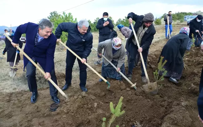 Yelek Köyünde Fidanlar Toprakla Buluşturuldu
