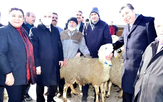 Kırşehir'de çiftçilere hayvan desteği