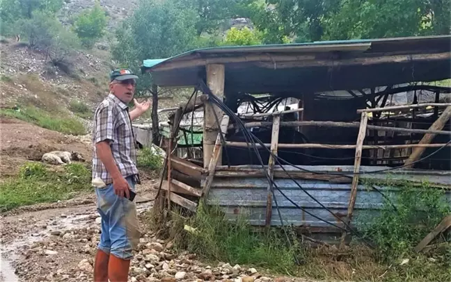 Nallıhan'da selden hayvanlarını son anda kurtardılar