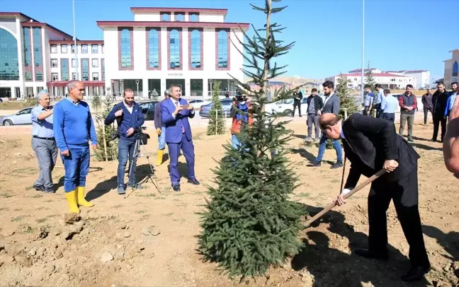 Bayburt Üniversitesi Baberti Külliyesinde fidan dikimi