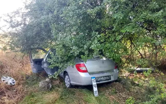 Samsun'da meyve bahçesine dalan otomobilin çarptığı kazada 3 kişi yaralandı