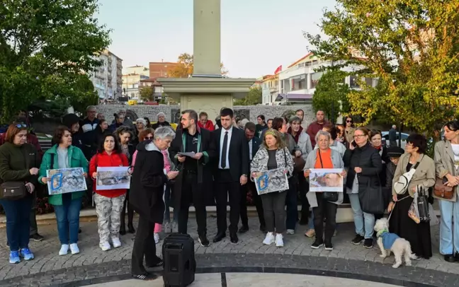 Kırklareli'nde Hayvanların Ölümü ve Tepkiler Artıyor