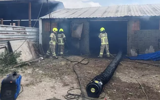 Manyas'ta Ahırda Yangın: 30 Koyun ve 12 Kuzu Telef Oldu