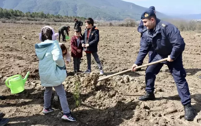 Sinop'un Durağan ilçesinde fidan dikim etkinliği düzenlendi