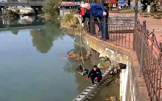 Zonguldak'ta Çayda Mahsur Kalan Kedi Kurtarıldı