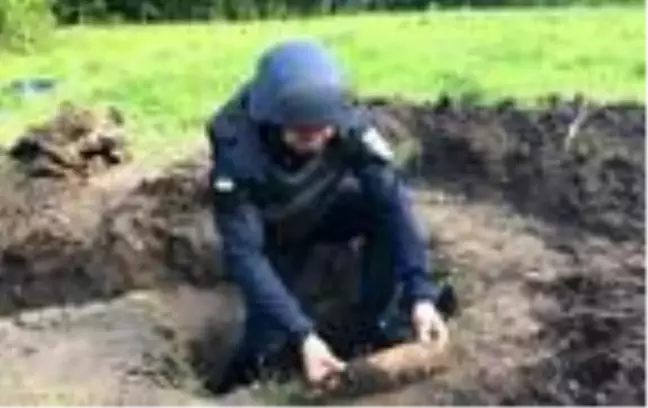 Ukrayna'da 2. Dünya Savaşı'ndan kalma 730 adet top mermisi bulundu