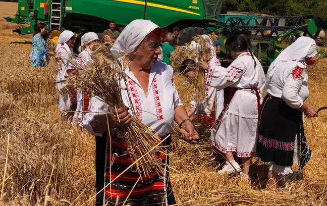 Bulgaristan'da Buğday Hasadı Yöresel Kıyafetlerle Kutlandı