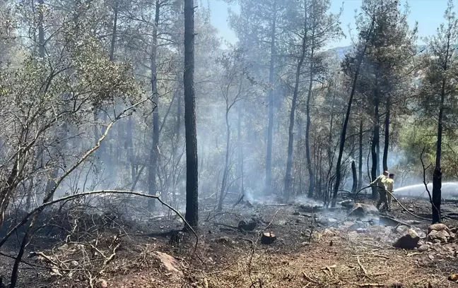 Balıkesir Dursunbey'deki Orman Yangını Kontrol Altına Alındı