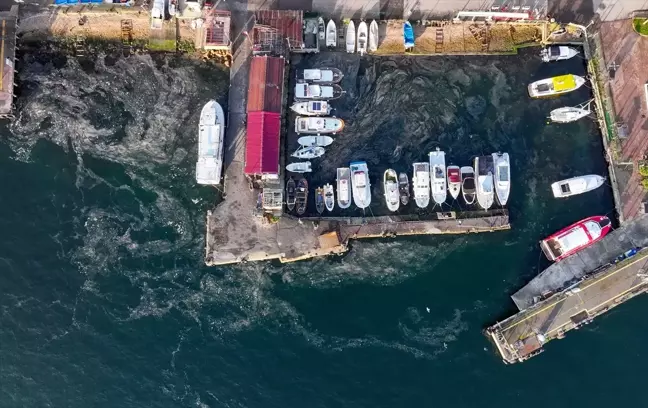 Marmara Denizi'nde Müsilaj Problemi Yeniden Baş Gösterdi