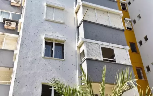 Sitede yaşayanların 'yarasa' çaresizliği