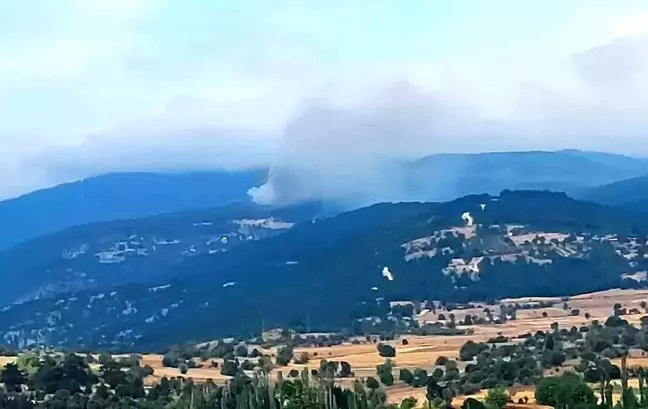 Kütahya'da orman yangını