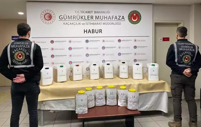 Habur Gümrük Kapısı'nda 227 Kilogram Metamfetamin Ele Geçirildi