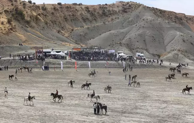 Mardin'de Rahvan At Yarışları Şampiyonası Düzenlendi