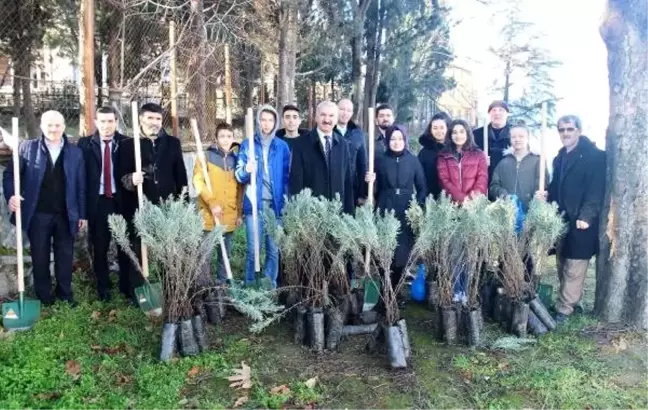 Hayrettin Karaca anısına fidanlar toprakla buluştu