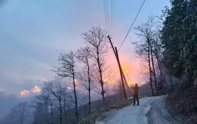 Of'ta çıkan yangın lodosun etkisiyle büyüdü