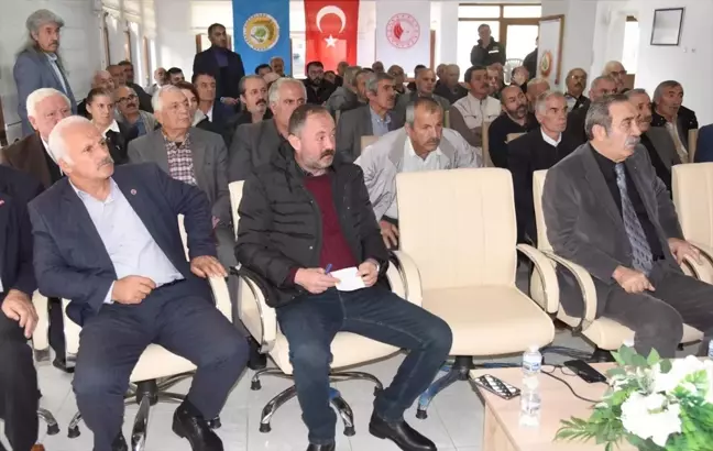 Artvin Şavşat'ta Orman Zararlılarıyla Mücadele: 80 Bin Fidan Dikildi