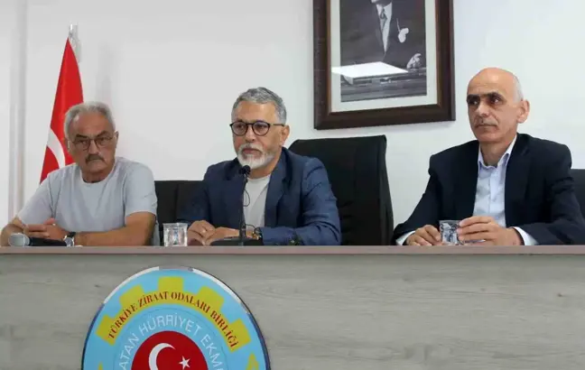 Giresun'da Üretici Örgütleri Fındık Rekoltesi Açıklamasına Tepki Gösterdi