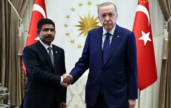 Cumhurbaşkanı Erdoğan, birçok ülkenin büyükelçilerinin güven mektuplarını kabul etti