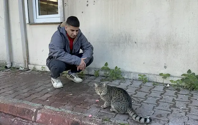 Adana'da Kedi, İşçinin Yemeğini Çaldı