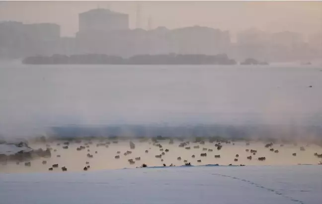 Ardahan'da Soğuk Hava Kura Nehri'nde Buharlaşma Oluşturdu