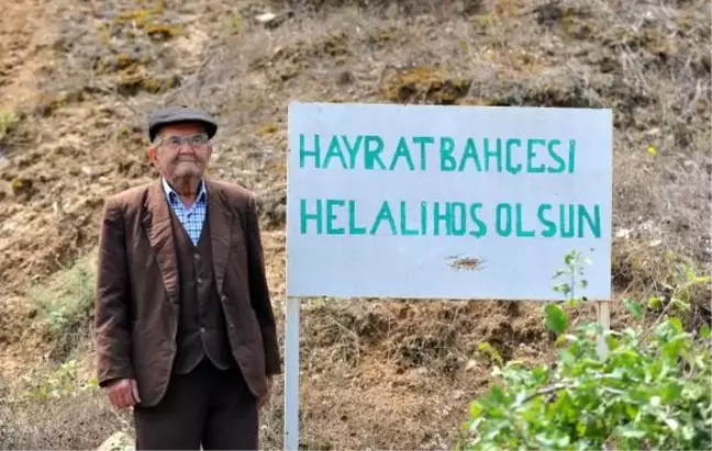 Yoldan gelip geçenler sebze- meyve yesin diye 'Hayrat Bahçesi' yaptı