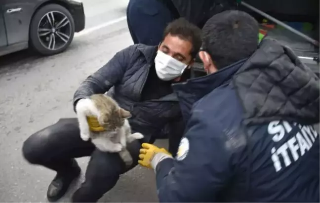 Hafif ticari aracın altına giren kedi, 2 saatte kurtarıldı