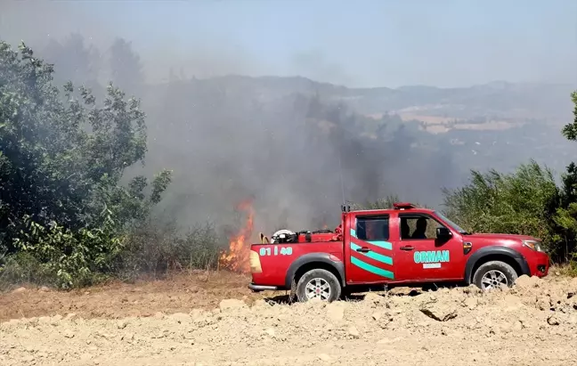 Adana'nın Kozan ilçesinde orman yangını çıktı