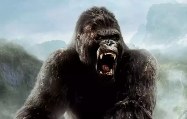 King Kong filmi oyuncuları kim, konusu ne, sonu nasıl bitiyor? King Kong filmi ne zaman, nerede çekildi?