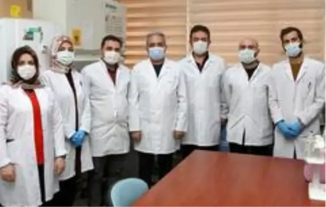 İnsan sağlığı için zararlı olmayan yeni bakteri cinsi ve türü keşfedildi