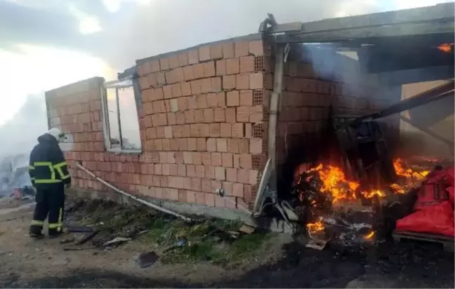 Son dakika: Lüleburgaz'da ağıl yangını; 10 hayvan öldü