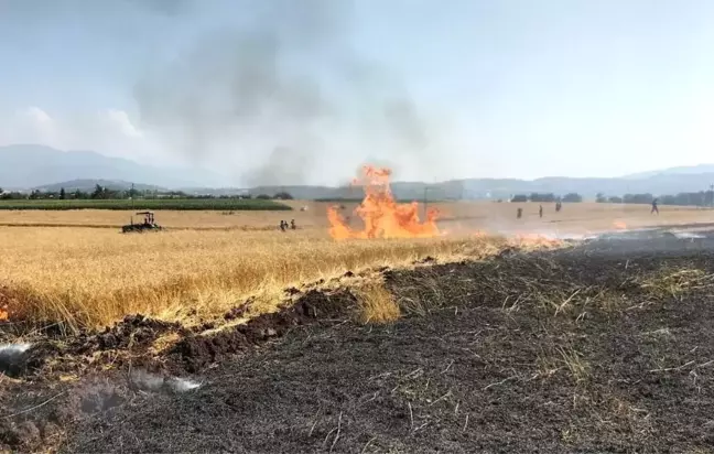 Osmaniye'de 10 dönüm buğday tarlası yandı