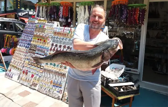 Sinop'ta zıpkınla avlanan 10 kiloluk levrek yüz güldürdü