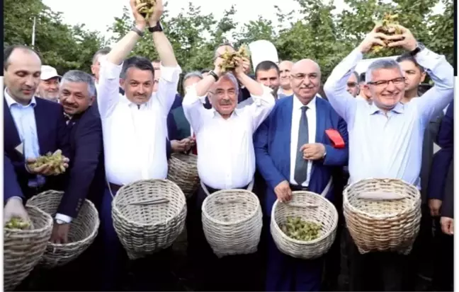 'Fındığın Başkenti' sloganı tartışmaya yol açtı