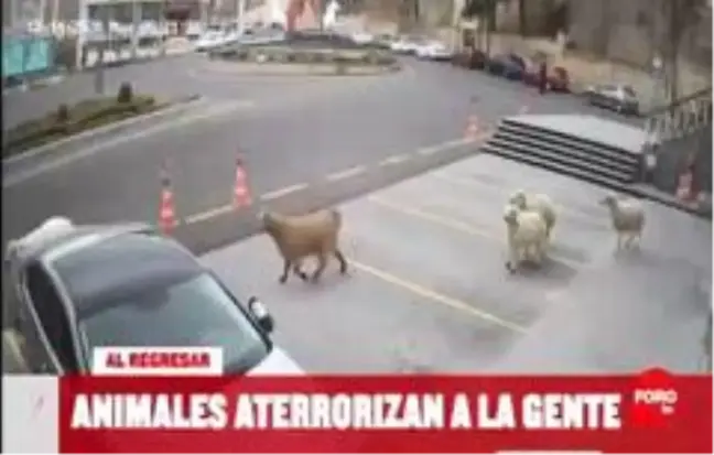 Dünya, Nevşehir'i konuştu