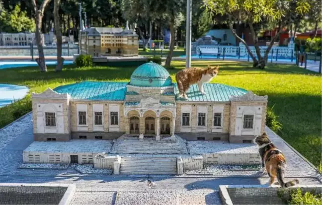 Minyatür Türkiye Parkı'nın tüylü sakinleri