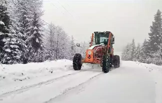 Trabzon'un yüksek kesimlerinde kar yağışı