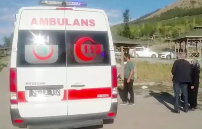 VAKALARIN ARTTIĞI ERZURUM'DA, PİKNİKTE AŞI