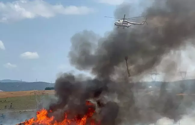 Tuzla'da Ormanlık Alanda Çıkan Yangına İtfaiye Ekipleri Müdahale Ediyor