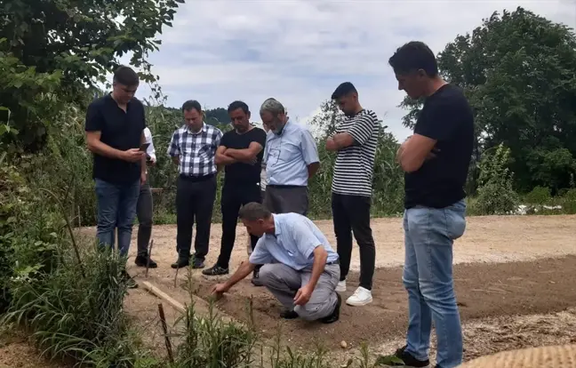 Giresun'da Salep Yetiştiriciliği İçin Çiftçilere Hibe Destekli Salep Yumrusu Dağıtıldı