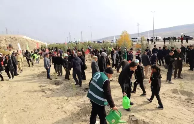 Çankırı'da Milli Ağaçlandırma Günü Etkinliği Düzenlendi