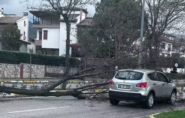 Denizli'de Fırtına Hayatı Olumsuz Etkiledi