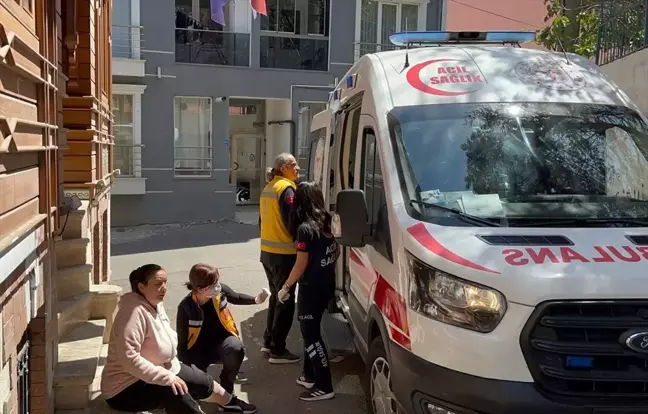 Sahipsiz Köpek Kadını Isırdı