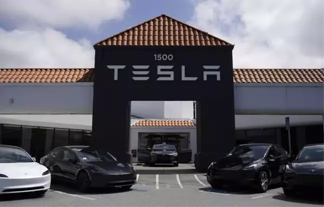 Tesla'nın Hollanda'daki Araç Satışları Yüzde 75 Düştü