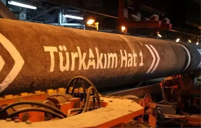 Moldova TürkAkım'dan gaz almak istiyor