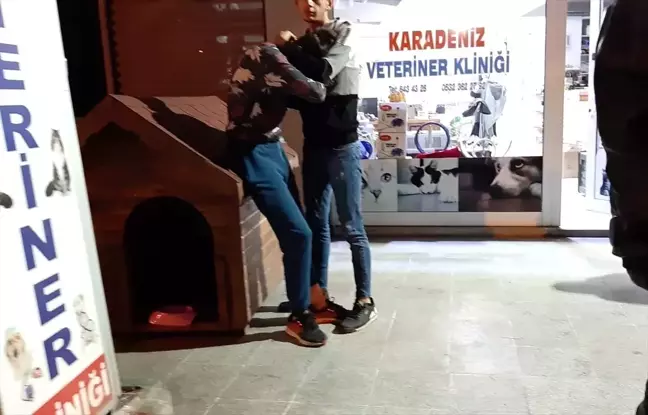 Kocaeli'de köpeği bıçakla öldürdüğü iddia edilen kişi gözaltına alındı