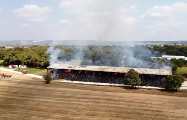 6 bin 500 adet saman balyası küle döndü